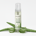 Jovel Nadora Aloe Fresh Cleansing Face Foam aloe editorial